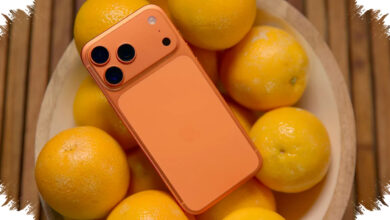 iPhone 17 Pro Max Dikubur untuk 250 Tahun, Peluang Hidup Kembali Nyaris Nol